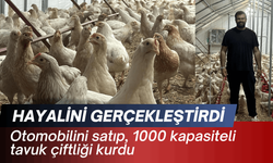 Otomobilini satıp, 1000 kapasiteli tavuk çiftliği kurdu