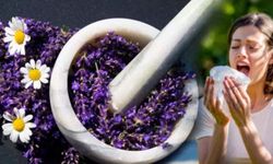 Bahar alerjisinden kurtaran doğal yöntemler! Burnu rahatlatıyor: Günde 2 kez için