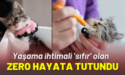 Yaşama ihtimali 'sıfır' olan Zero hayata tutundu