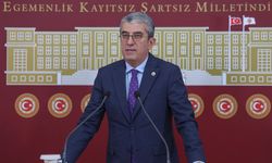 CHP'li Günaydın: Türkiye'de 36 milyon ruhsatsız silah var