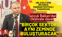 Urla’da 3 gün dolu dolu Enginar Festivali yaşanacak
