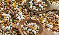 100 yaşını aşanların uzun yaşam sırrı! Günde yarım fincan tüketmek ömrü uzatabilir