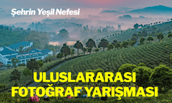 Uluslararası Fotoğraf Yarışması'nda kazananlar belli oldu