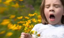 Peş peşe gelen hapşırık nöbetleri alerjik nezle olabilir! Asla gelişigüzel ilaç vermeyin