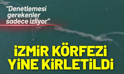 İzmir Körfezi göz göre göre kirletiliyor
