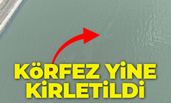 İzmir Körfezi yine kirletildi!