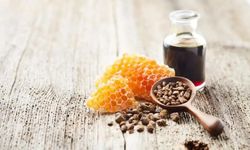 Propolis Nedir? Propolis Faydaları Nelerdir?