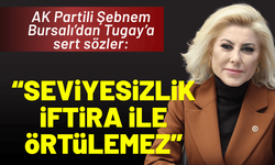 AK Partili Şebnem Bursalı’dan Tugay’a sert sözler: 'Seviyesizlik iftira ile örtülemez'