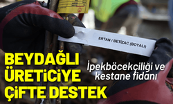 Beydağlı üreticiye çifte destek: İpekböcekçiliği ve kestane fidanı