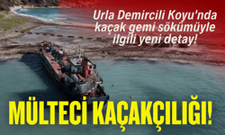 Urla Demircili Koyu'nda kaçak gemi sökümüyle ilgili yeni detay!