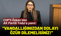 CHP’li Özkan’dan AK Partili Yıldız’a yanıt: Vandallığınızdan dolayı özür dilemelisiniz!