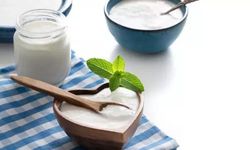 Bağırsakların görünmez kalkanı! Kefir mi yoğurt mu?