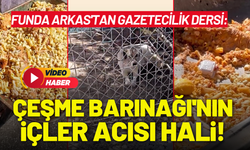 Funda Arkas'tan gazetecilik dersi: Çeşme Barınağı'nın içler acısı hali!