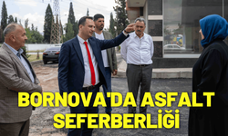 Bornova'da asfalt seferberliği