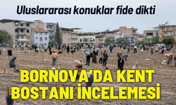 Avrupa'dan Bornova'ya kent bostanı incelemesi