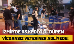 İzmir'de 33 kediyi öldüren vicdansız veteriner adliyede!