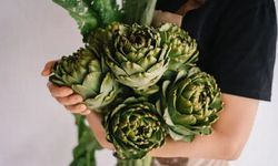 Doğal antibiyotik tezgâhlarda! Bağışıklığı çelikten zırha dönüştürüyor!
