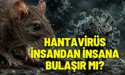 Hantavirüs insandan insana bulaşır mı?