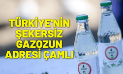 Türkiye'nin şekersiz gazozun adresi Çamlı