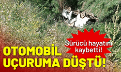 Otomobil uçuruma düştü, sürücü hayatını kaybetti!