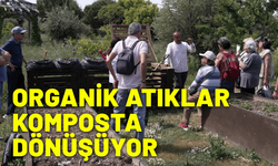 Organik atıklar komposta dönüşüyor