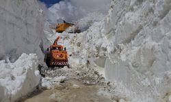 Şırnak’ta 7 metreyi aşan karla mücadele