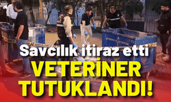 Savcılık itiraz etti, veteriner tutuklandı!
