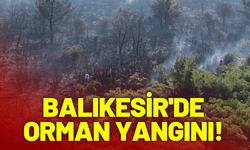 Balıkesir'de orman yangını!