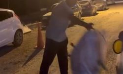 Çuvala koyulan köpeği, hayvansever kurtardı