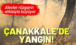 Çanakkale'de yangın! Alevler rüzgarın etkisiyle büyüyor