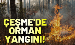İzmir Çeşme'de orman yangını!