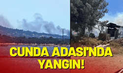 Balıkesir'in Cunda Adası'nda yangın!