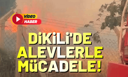 Dikili'de alevlerle mücadele!