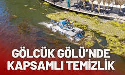 Gölcük Gölü’nde kapsamlı temizlik