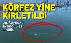 İzmir Körfezi 14’üncü kez kirletildi