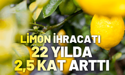 Türkiye'nin limon ihracatı 500 milyon dolara koşuyor