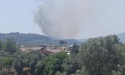 Muğla'da tarım arazisinde çıkan yangın ormana sıçradı