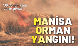 Manisa'da maki yangını: 30 dönüm alan zarar gördü
