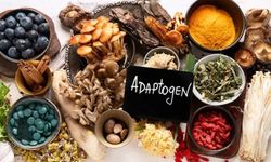 Modern hayat yoruluyor! Adaptojenler stresi azaltıyor mu?