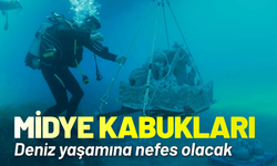 Midye kabukları deniz yaşamına nefes olacak