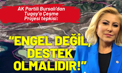 AK Partili Bursalı'dan Tugay'a Çeşme Projesi tepkisi: Engel değil, destek olmalıdır!