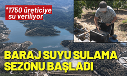 Seferihisar’da baraj suyu sulama sezonu başladı