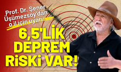 Prof. Dr. Şener Üşümezsoy o il için uyarı: 6,5 deprem riski var!