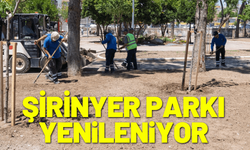 Şirinyer Parkı eski günlerine kavuşuyor