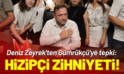 Deniz Zeyrek'ten Gümrükçü'ye tepki: Hizipçi zihniyeti!