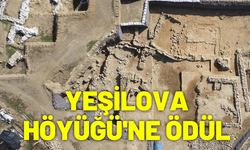 Yeşilova Höyüğü'ne dünya çapında ödül