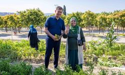 Toprakla buluşan kadınlar, hasat sevincini Başkan Tugay’la yaşadı