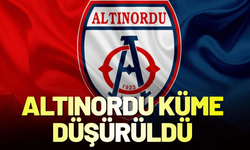Altınordu küme düşürüldü