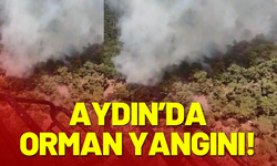 Aydın'da orman yangını!