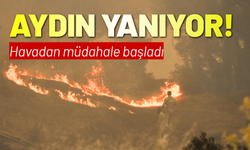 Aydın'daki orman yangını: Havadan müdahale başladı